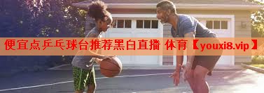 便宜点乒乓球台推荐黑白直播 体育