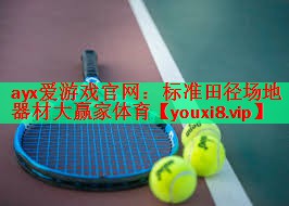 ayx爱游戏官网：标准田径场地器材大赢家体育