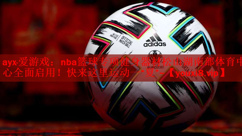 ayx·爱游戏：nba篮球专项健身器材松山湖南部体育中心全面启用！快来这里运动一“夏”~