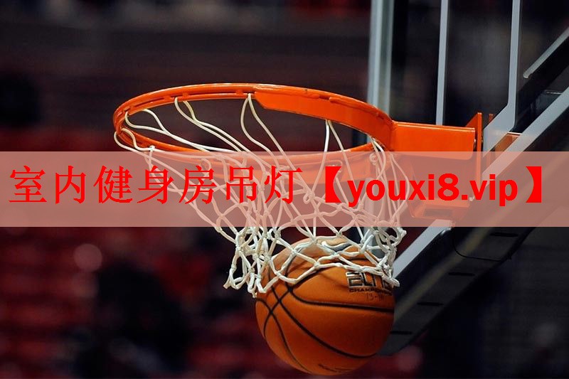 <strong>室内健身房吊灯</strong>