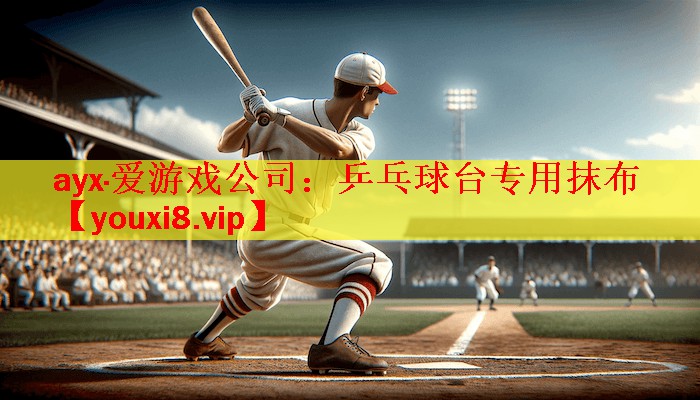 乒乓球台专用抹布