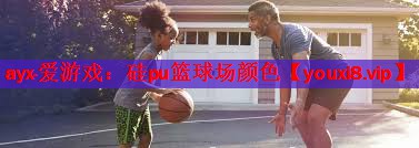 硅pu篮球场颜色 硅pu篮球场颜色